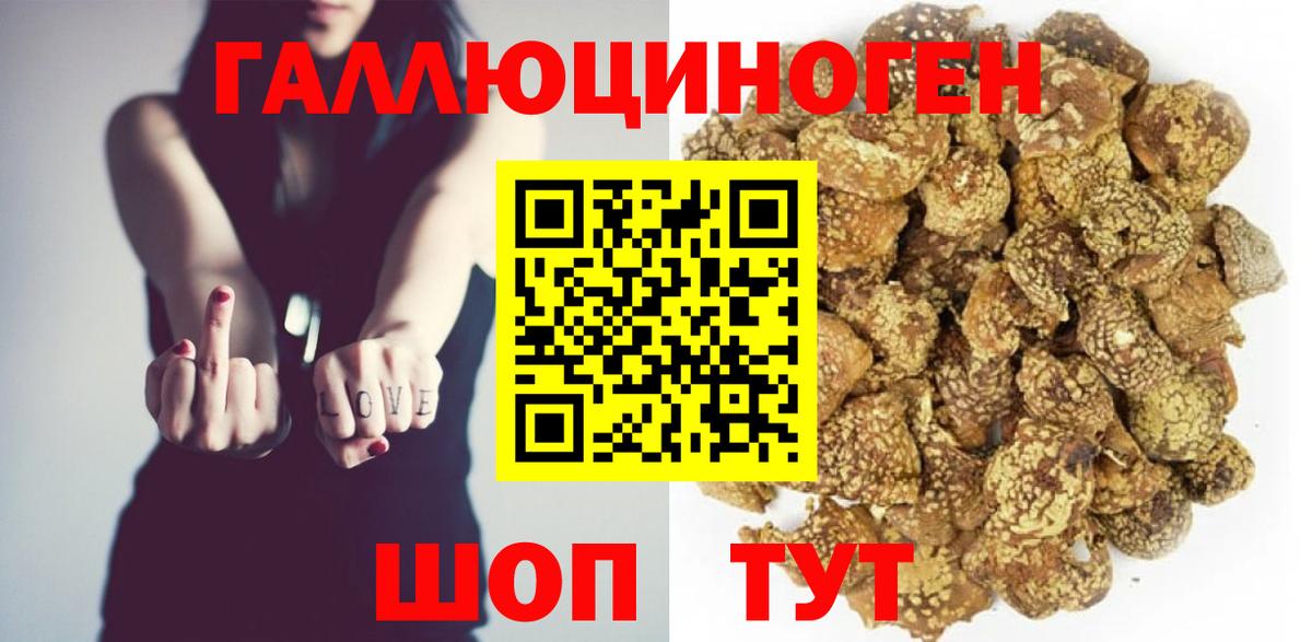 Псилоцибиновые грибы Cubensis  Вход с VPN  купить закладку  Усть-Илимск 