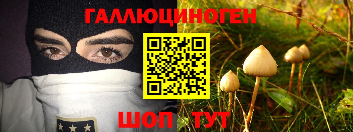 Галлюциногенные грибы Psilocybe Усть-Илимск